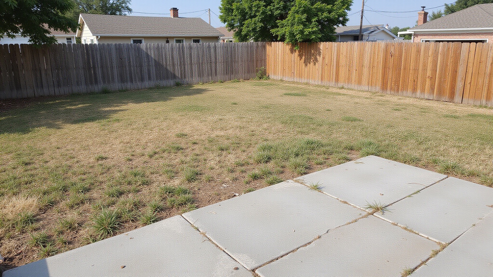 backyard makeover photo journey